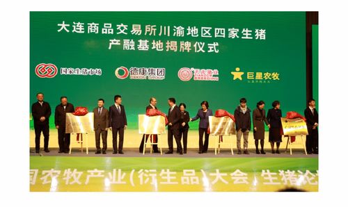 大商所市场发展服务掠影 DCE图数馆与文化经纪人服务的融合创新